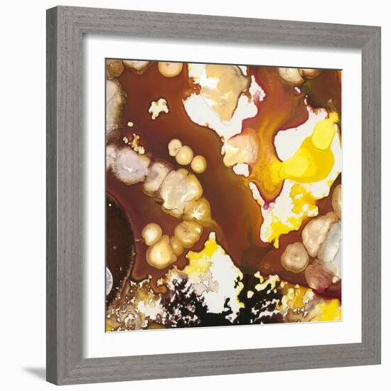 Geodesic II-Jennifer Goldberger-Framed Art Print