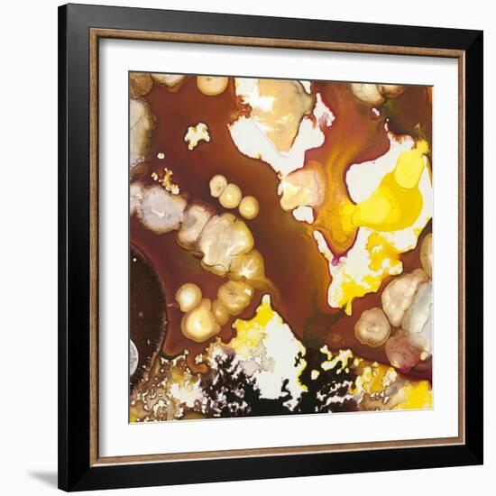 Geodesic II-Jennifer Goldberger-Framed Art Print