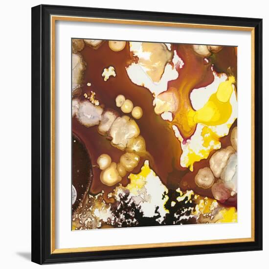 Geodesic II-Jennifer Goldberger-Framed Art Print