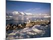 Photographic Print