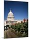 Premium Photographic Print