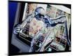 Premium Photographic Print
