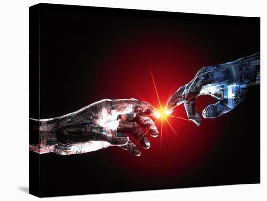 Stretched Canvas Print, , large