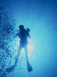 Scuba Diver with Camera In the Red Sea-Geoff Tompkinson-Photographic Print