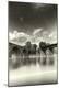 Photographic Print