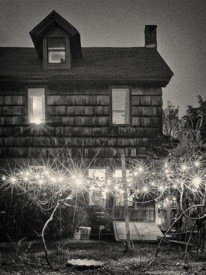 Photographic Print, , large