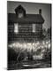 Photographic Print