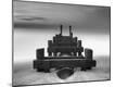 Photographic Print