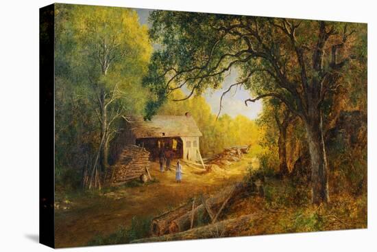 Stretched Canvas Print, , large