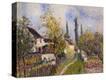 Stretched Canvas Print