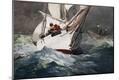 Premium Giclee Print