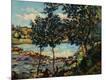 Giclee Print