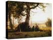Stretched Canvas Print
