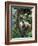 Geoffroy's Spider Monkey, Costa Rica-Andres Morya Hinojosa-Framed Photographic Print