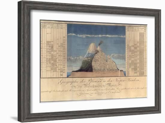 Geography of Plants in Tropical Countries, a Study of the Andes, Drawn by Schoenberger and…-Friedrich Alexander, Baron Von Humboldt-Framed Giclee Print