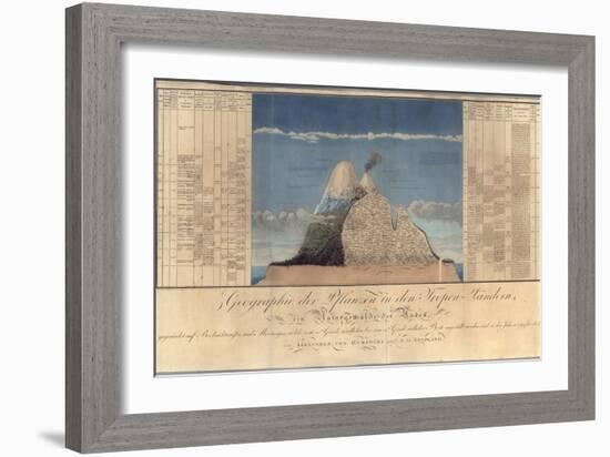 Geography of Plants in Tropical Countries, a Study of the Andes, Drawn by Schoenberger and…-Friedrich Alexander, Baron Von Humboldt-Framed Giclee Print