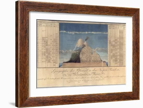 Geography of Plants in Tropical Countries, a Study of the Andes, Drawn by Schoenberger and…-Friedrich Alexander, Baron Von Humboldt-Framed Giclee Print