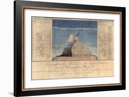 Geography of Plants in Tropical Countries, a Study of the Andes, Drawn by Schoenberger and…-Friedrich Alexander, Baron Von Humboldt-Framed Giclee Print