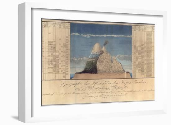 Geography of Plants in Tropical Countries, a Study of the Andes, Drawn by Schoenberger and…-Friedrich Alexander, Baron Von Humboldt-Framed Giclee Print
