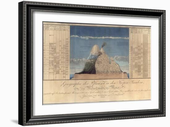 Geography of Plants in Tropical Countries, a Study of the Andes, Drawn by Schoenberger and…-Friedrich Alexander, Baron Von Humboldt-Framed Giclee Print