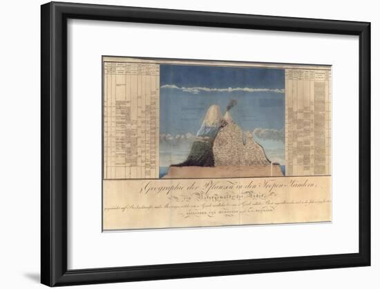 Geography of Plants in Tropical Countries, a Study of the Andes, Drawn by Schoenberger and…-Friedrich Alexander, Baron Von Humboldt-Framed Giclee Print