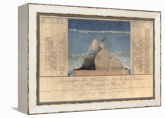 Geography of Plants in Tropical Countries, a Study of the Andes, Drawn by Schoenberger and…-Friedrich Alexander, Baron Von Humboldt-Framed Premier Image Canvas