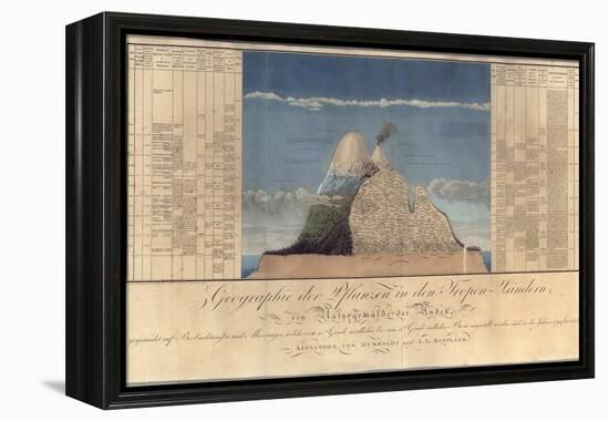 Geography of Plants in Tropical Countries, a Study of the Andes, Drawn by Schoenberger and…-Friedrich Alexander, Baron Von Humboldt-Framed Premier Image Canvas