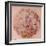 Geological Map of the Moon, 1967-null-Framed Giclee Print