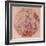 Geological Map of the Moon, 1967-null-Framed Giclee Print