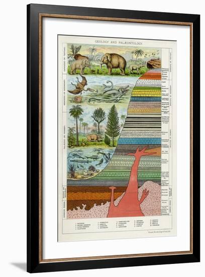 Geology and Palaeontology, C1880-null-Framed Giclee Print