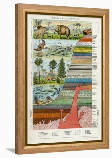 Geology and Palaeontology, C1880-null-Framed Premier Image Canvas