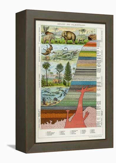 Geology and Palaeontology, C1880-null-Framed Premier Image Canvas