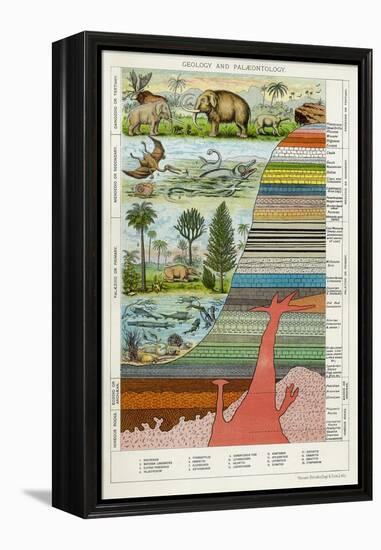 Geology and Palaeontology, C1880-null-Framed Premier Image Canvas