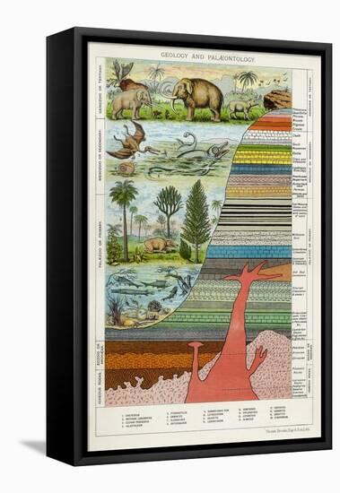 Geology and Palaeontology, C1880-null-Framed Premier Image Canvas