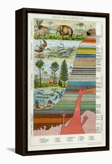Geology and Palaeontology, C1880-null-Framed Premier Image Canvas