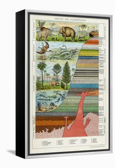 Geology and Palaeontology, C1880-null-Framed Premier Image Canvas