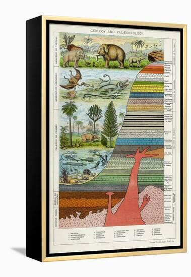 Geology and Palaeontology, C1880-null-Framed Premier Image Canvas