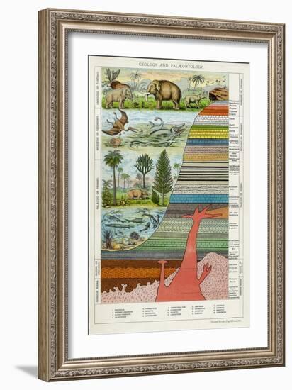Geology and Palaeontology, C1880-null-Framed Giclee Print