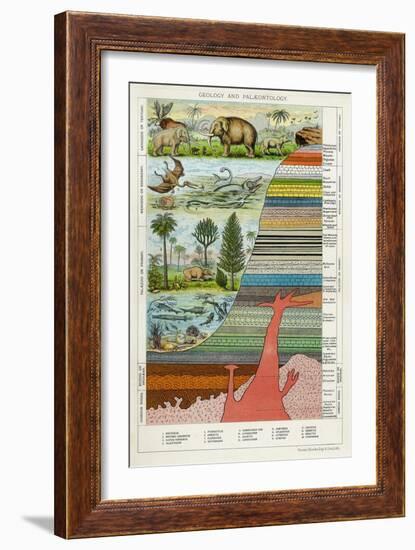 Geology and Palaeontology, C1880-null-Framed Giclee Print