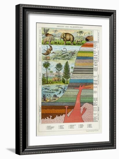 Geology and Palaeontology, C1880-null-Framed Giclee Print