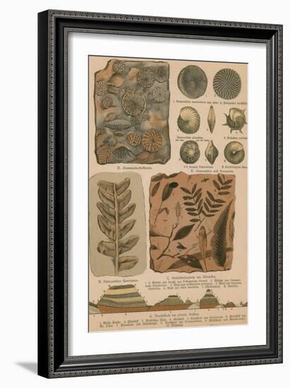 Geology and Paleontology, 1886-Science Source-Framed Giclee Print