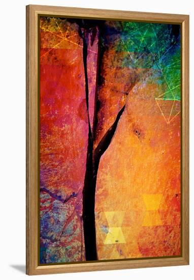 Geometree-Ursula Abresch-Framed Premier Image Canvas