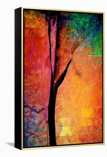 Geometree-Ursula Abresch-Framed Premier Image Canvas