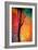 Geometree-Ursula Abresch-Framed Photographic Print