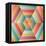 Geometric Hexagon Op Illusion-AnaMarques-Framed Stretched Canvas