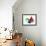 Geometric Shapes, Artwork-Laguna Design-Framed Photographic Print displayed on a wall