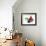 Geometric Shapes, Artwork-Laguna Design-Framed Photographic Print displayed on a wall