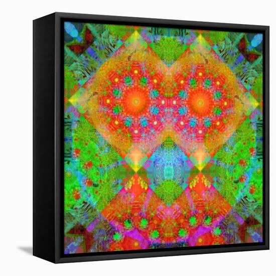 Geometrical Ornament of Flower Photos-Alaya Gadeh-Framed Premier Image Canvas