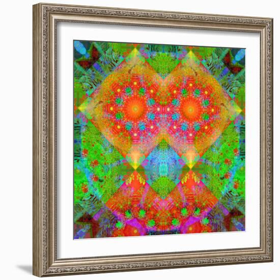 Geometrical Ornament of Flower Photos-Alaya Gadeh-Framed Photographic Print