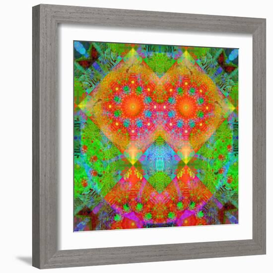 Geometrical Ornament of Flower Photos-Alaya Gadeh-Framed Photographic Print